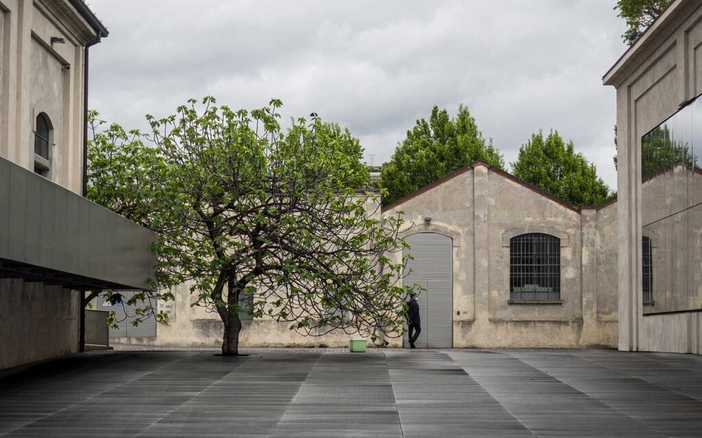 gifford roth img 44.jpeg